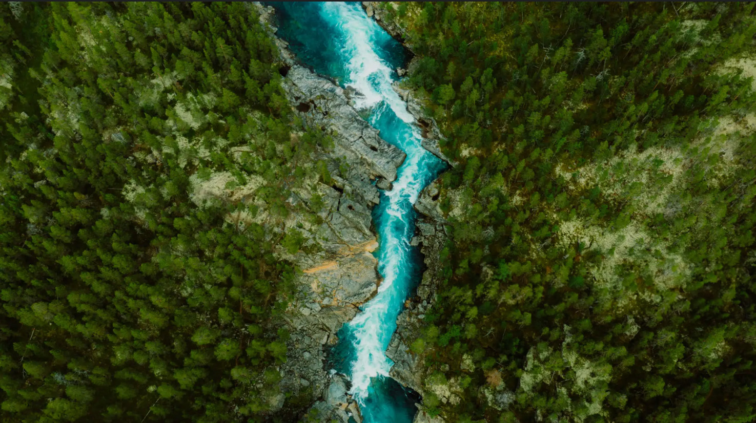 Chantier éco-responsable Giroud Carrelage Lyon